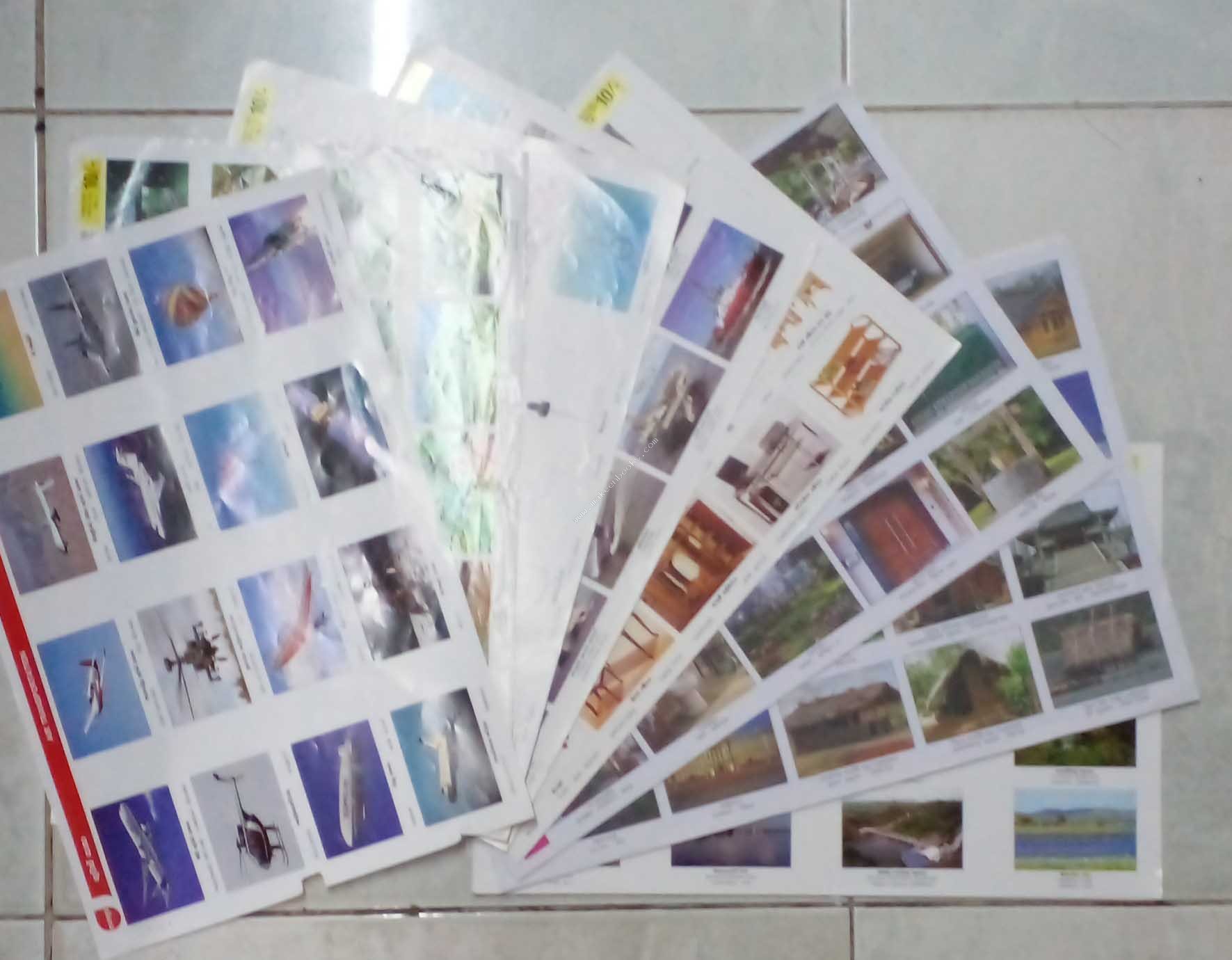 MANGO - PICTURE PAPER