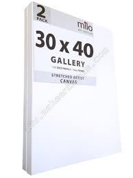 CANVAS - ARTIST 30x40CM