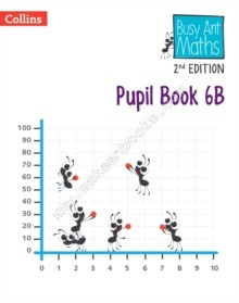 BUSY ANT MATHS 6B
