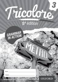 TRICOLORE GRAMMAR IN ACTION BK 3