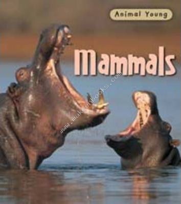 Heinemann Library-ANIMAL YOUNG-MAMMALS -  Rod Theodorou - 9780431030715