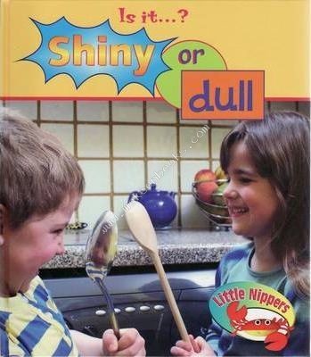 Heinemann Library-LITTLE NIPPERS - IS IT..? SHINY OR DULL -  Victoria Parker - 9780431174013