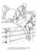Big Book of Horses to Color -  John Green - 9780486451787