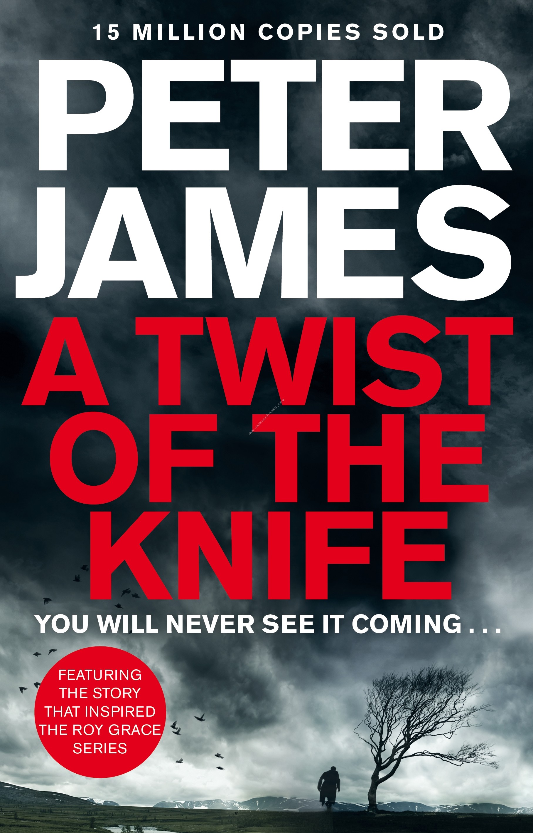 PETER JAMES SHORT TPB - JAMES  PETER - 9781447260141