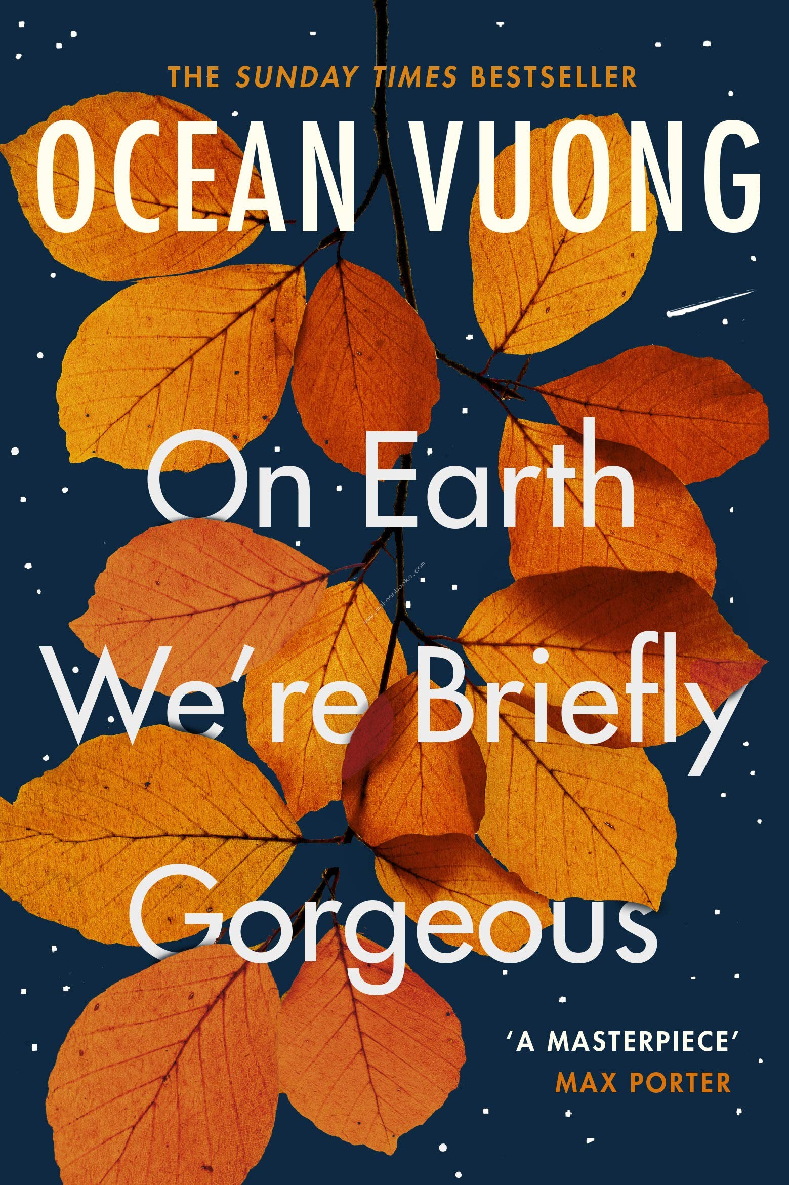 On Earth We're Briefly Gorgeous - Vuong Ocean - 9781529110685