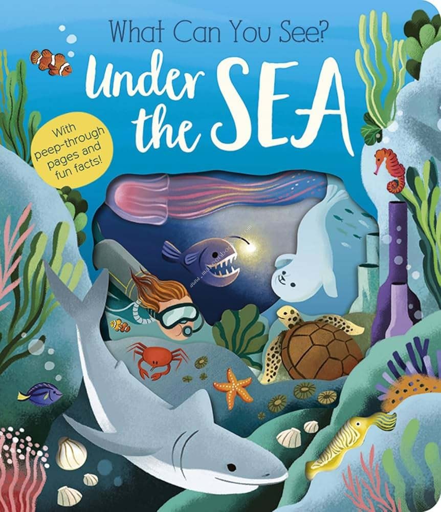 WHAT CAN YOU SEE? UNDER THE SEA - 9781801045551