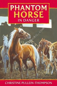 Phantom Horse -  Christine Pullein-Thompson - 9781841358246