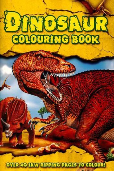 DINOSAUR COLOURING BOOK - N/A - 9781847509772