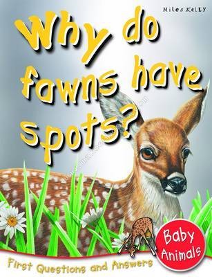 FIRST Q & A - WHY DO FAWNS HAVE SPOTS -  Camilla De la Bedoyere - 9781848104556