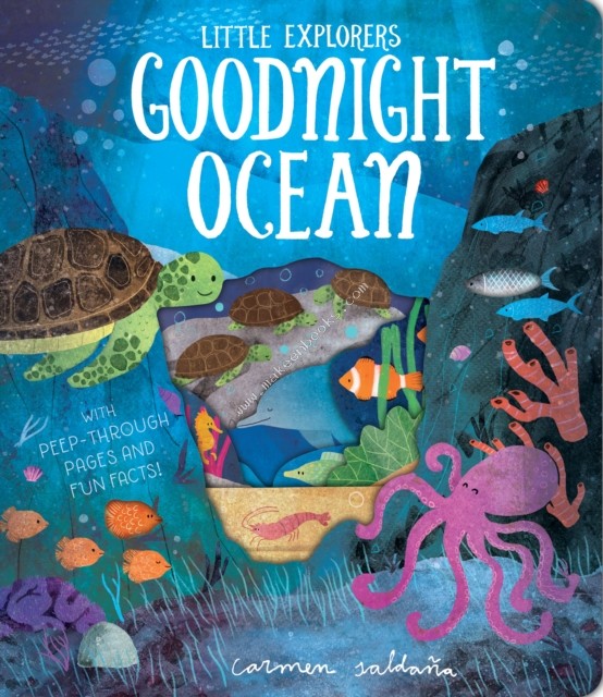 Goodnight Ocean - Davies Becky - 9781912756148