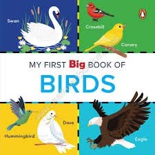 MY FIRST BIG BOOK OF BIRDS - UN-ASSIGNED : N/A - 9789815127485