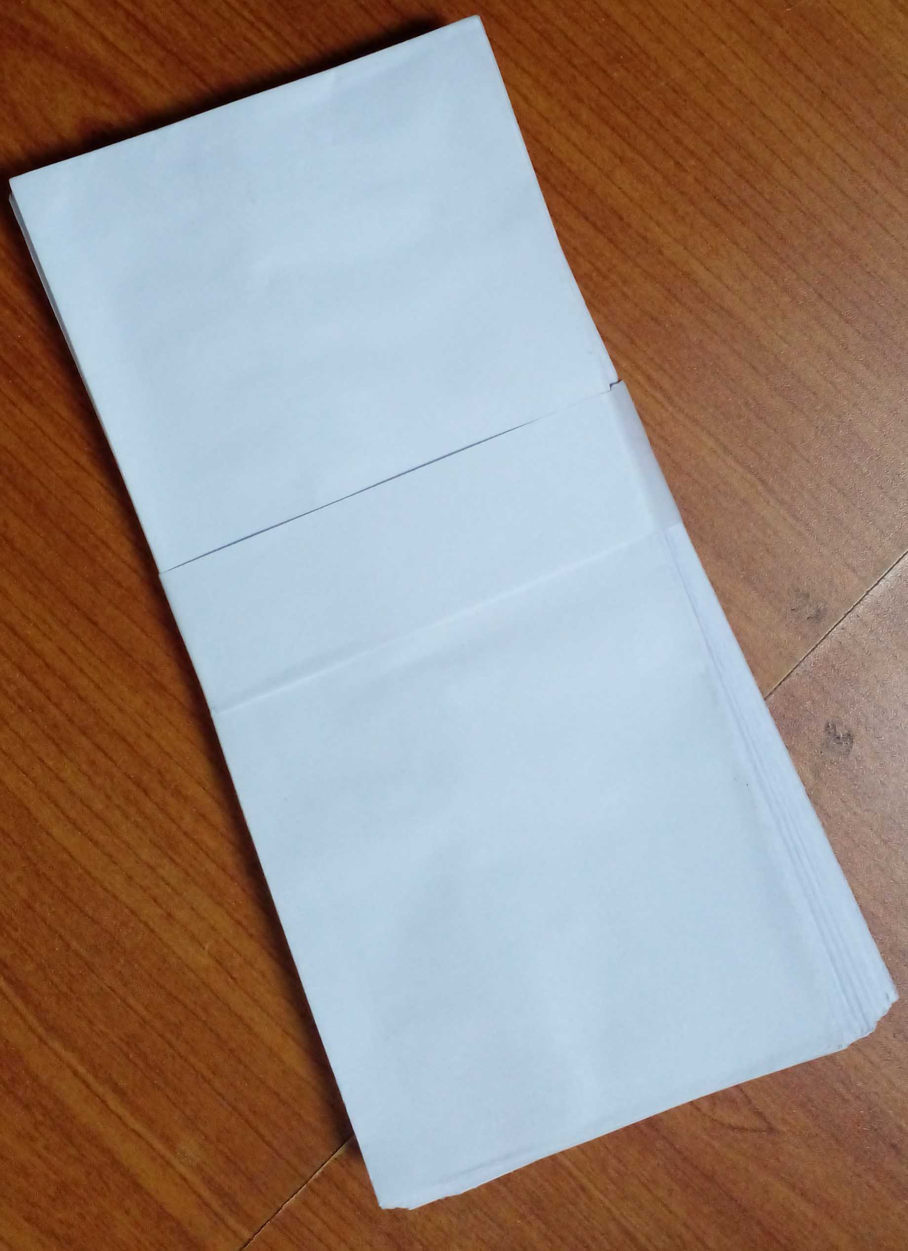 ENVELOPE - WHITE 9 X 4 (NEDS) - 008000430