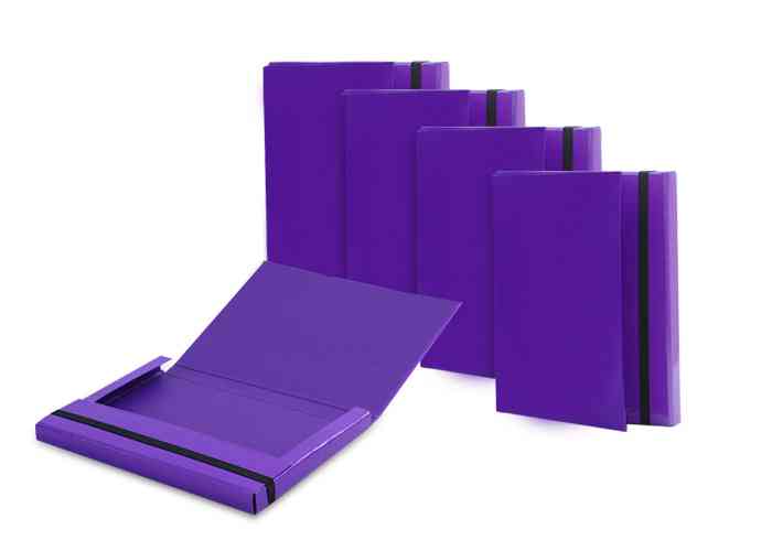 DOCUMENT HOLDER EXEC ASORTED COL - 008003953