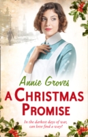 Christmas Promise - 9780007361557