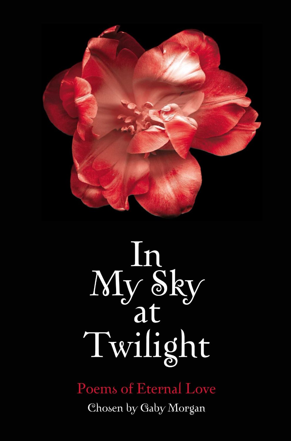 IN MY SKY AT TWILIGHT - 9780230745865