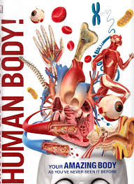 KNOWLEDGE ENCYCLOPEDIA HUMAN BODY - 9780241385777