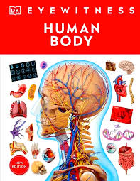 DK EYEWITNESS - HUMAN BODY - 9780241684887