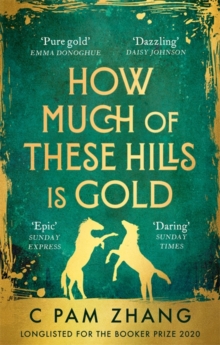 How Much of These Hills is Gold - Zhang C Pam - 9780349011455