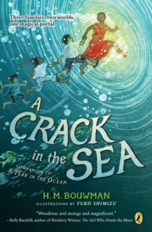 CRACK IN THE SEA - 9780399545214