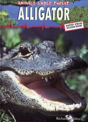 Heinemann Library-ANIMALS UNDER THREAT-ALLIGATOR -  Louise  Splilsbury Splilsbury - 9780431188928