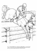 Big Book of Horses to Color -  John Green - 9780486451787