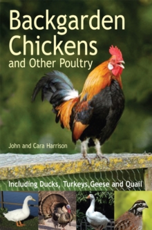 Backgarden Chickens and Other Poultry -  John Harrison - 9780716022688
