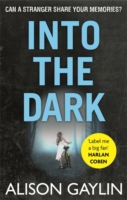 INTO THE DARK -  Alison Gaylin - 9780751553741