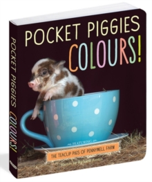 Pocket Piggies Colours! - 9780761181460
