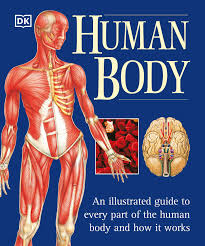Human Body - 9780789479884