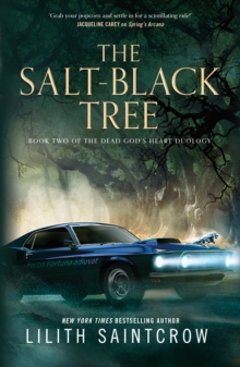 The Salt-Black Tree - 9781250791566