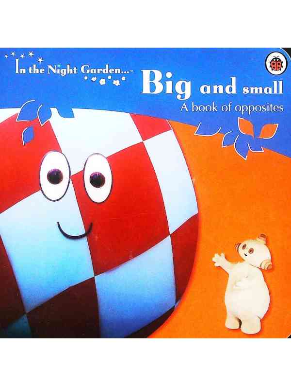 IN THE NIGHT GARDEN - BIG & SMALL - 9781405904193