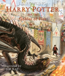 HP GOBLET OF FIRE ILL ED - ROWLING J K - 9781408845677