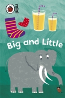Early Learning Big and Little - 9781409301783