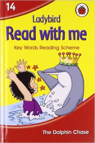 Read with Me The Dolphin Chase - 9781409310723