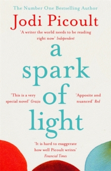Spark of Light - 9781444788167