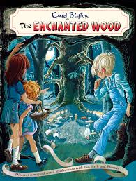 EB -ENCHANTED WOOD - 9781444961737 Books Deal and Book promotions in Sri Lanka