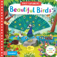 Beautiful Birds - 9781509898336