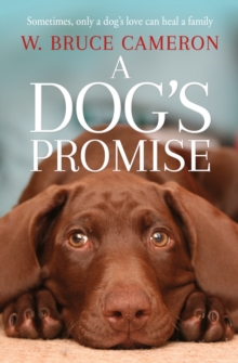 Dog's Promise - 9781529010084