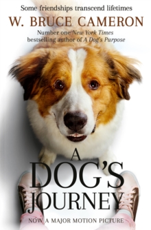 Dog's Journey - 9781529013931