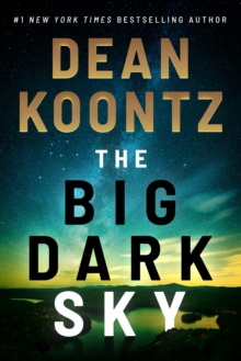 Big Dark Sky - 9781542019910