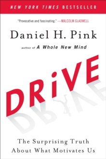 Drive: The Surprising Truth About What Motivates Us - 9781594484803