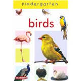 KINDERGARTEN - VEGETABLES - 9781781750391