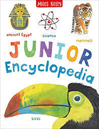 Junior Encyclopedia - 9781786178589