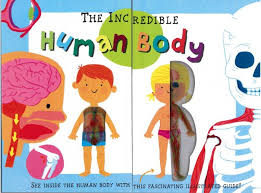 SEE INSIDE - HUMAN BODY - 9781786904973