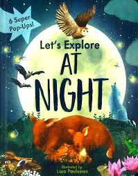 POP UP - LETS EXPLORE AT NIGHT - 9781788818940