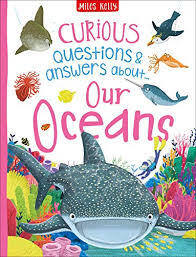 CURIOUS Q  A - OUR OCEAN - 9781789890471