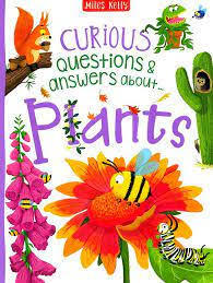 CURIOUS Q  A - PLANTS - 9781789894776