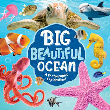 BIG BEAUTIFUL OCEAN - 9781835093092