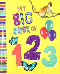 MY BIG BOOK OF 1,2,3 - 9781838527730