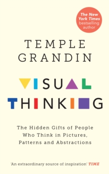 Visual Thinking - 9781846046872